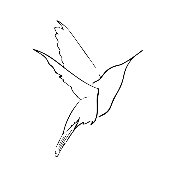 Kolibri Collective logo
